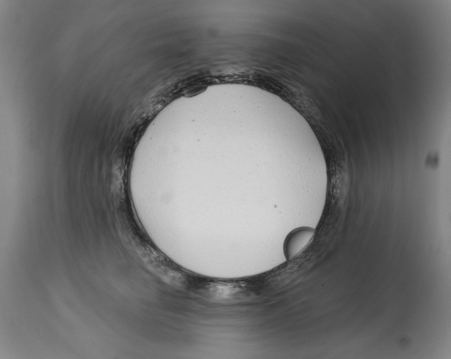 X0000114570662200911161247