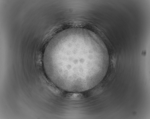 X0000114570663200911161247