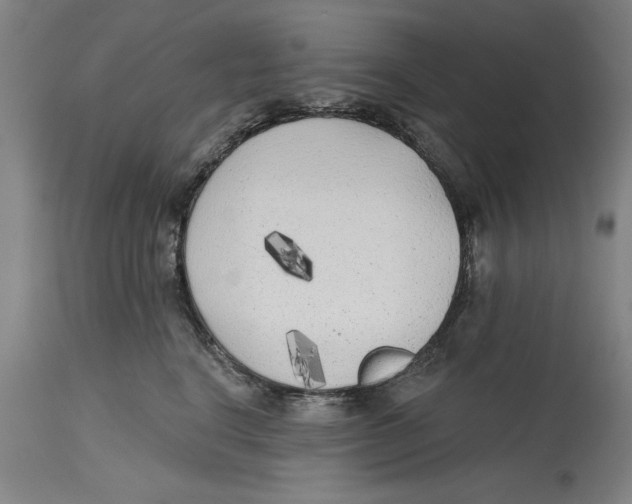 X0000114570664200911161247