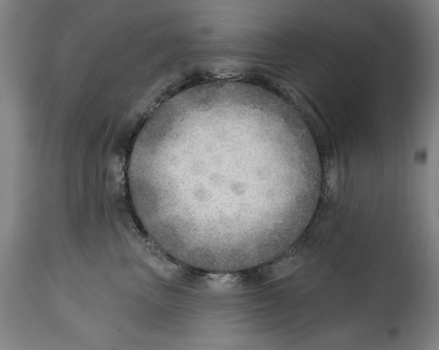 X0000114570667200911161247