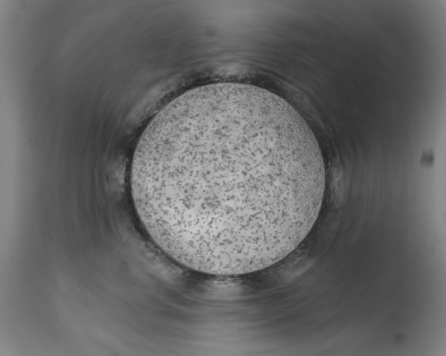 X0000114570668200911161247