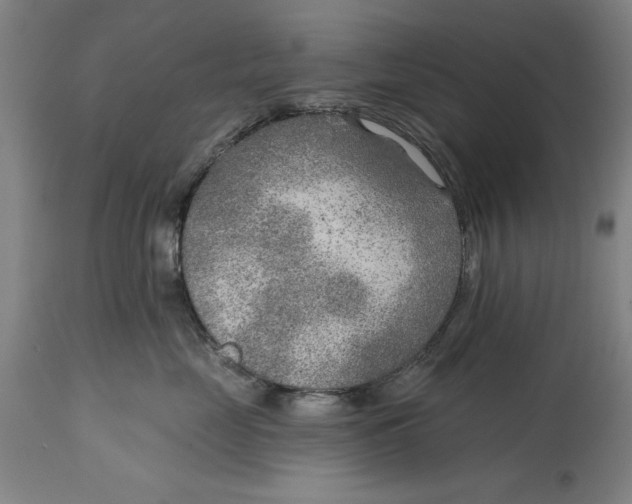 X0000114570669200911161247