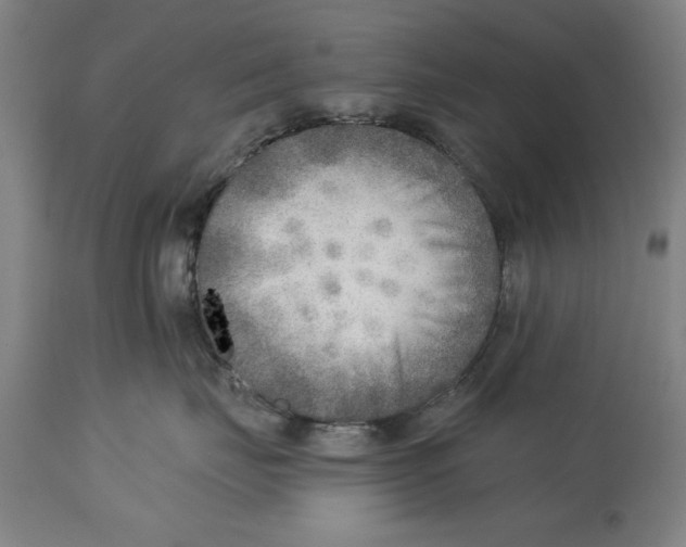 X0000114570671200911161247