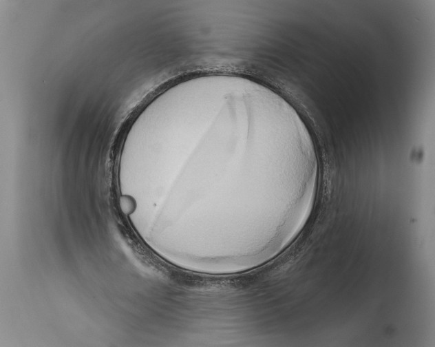 X0000114570674200911161247