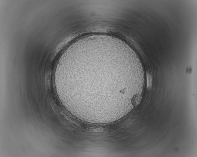 X0000114570675200911161247