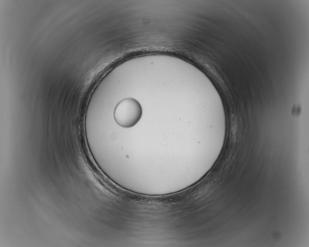 X0000114570677200911161247