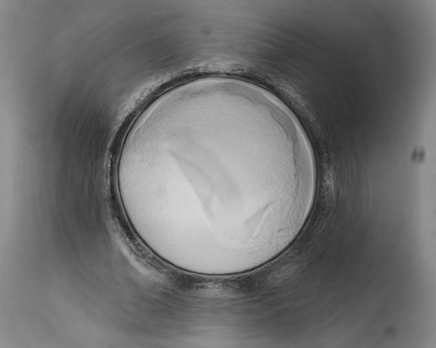 X0000114570678200911161247