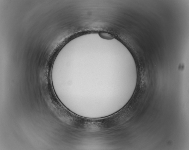 X0000114570680200911161247