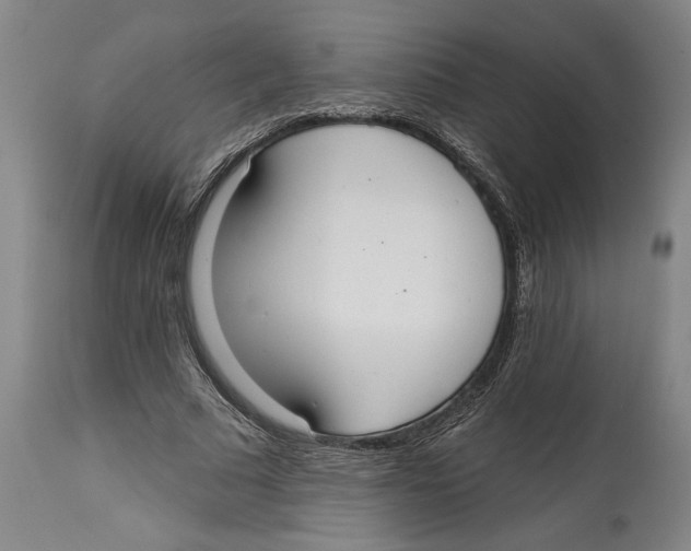 X0000114570681200911161247