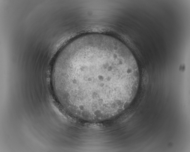 X0000114570683200911161247