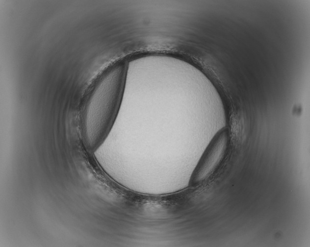 X0000114570684200911161247