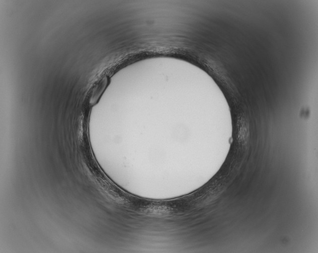 X0000114570685200911161247