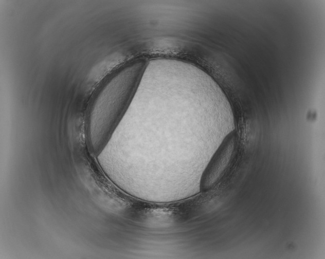 X0000114570692200911161246