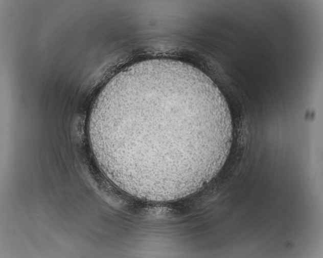 X0000114570695200911161246