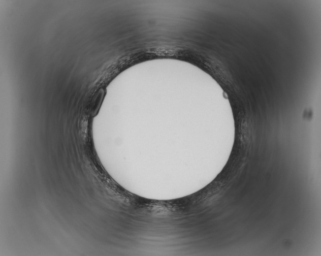 X0000114570697200911161246