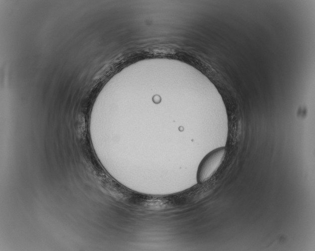 X0000114570704200911161246