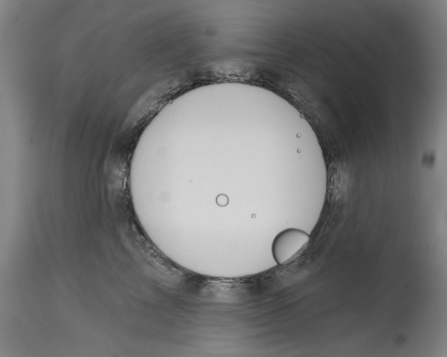 X0000114570713200911161246