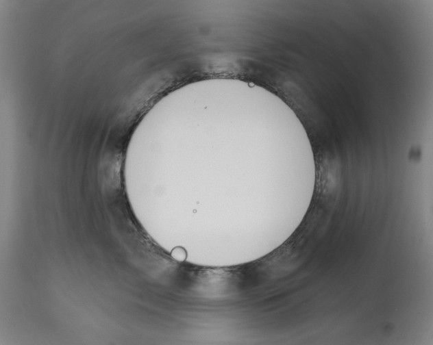 X0000114570717200911161246