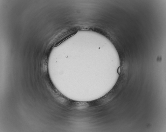 X0000114570719200911161246