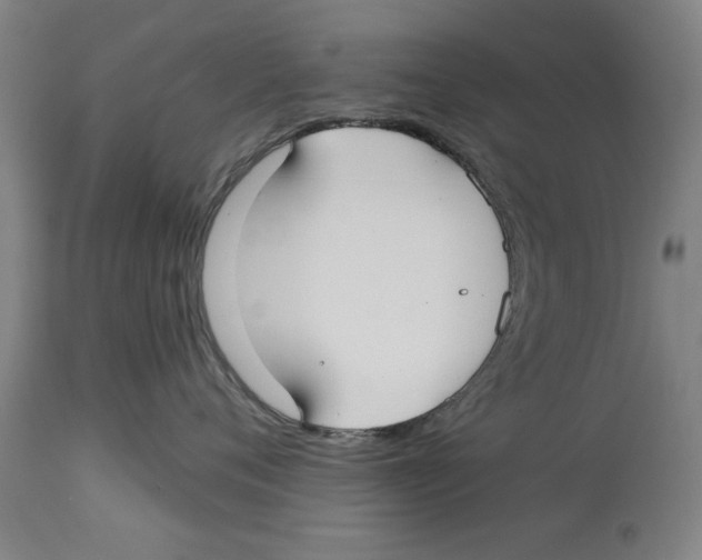 X0000114570720200911161246