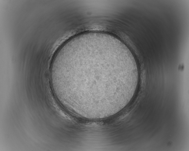 X0000114570721200911161245