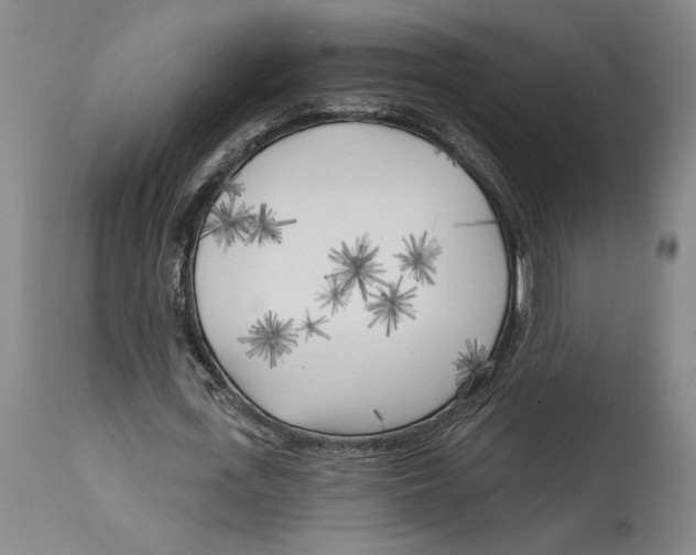 X0000114570723200911161245