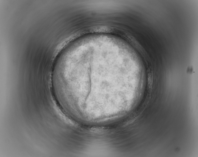 X0000114570725200911161245