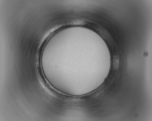 X0000114570726200911161245