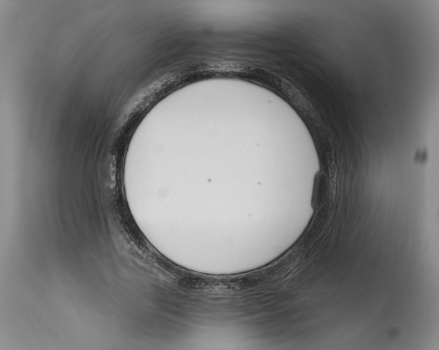 X0000114570731200911161246