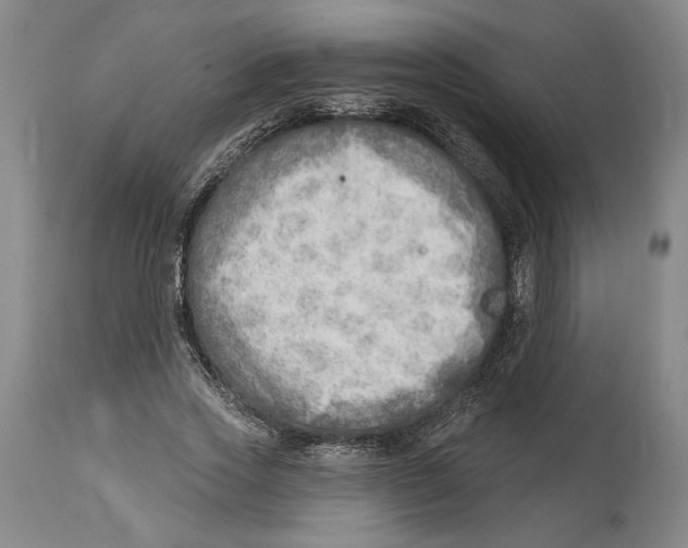 X0000114570733200911161246