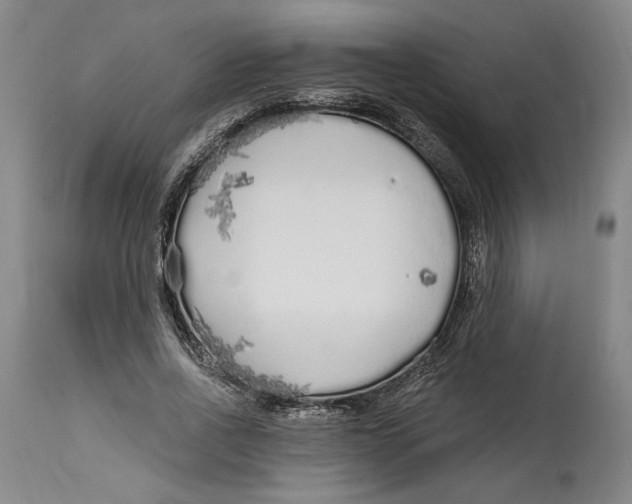 X0000114570734200911161246