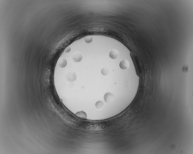 X0000114570735200911161246