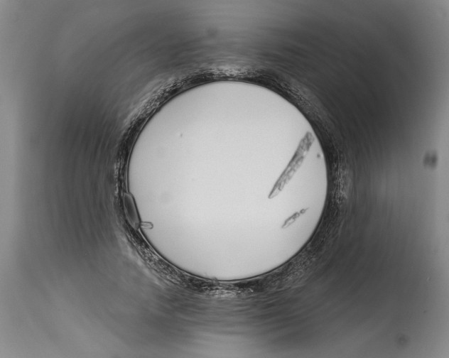 X0000114570738200911161246