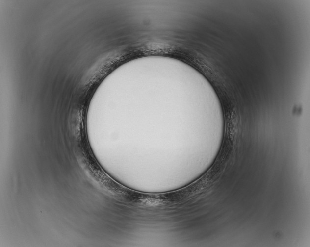 X0000114570742200911161246