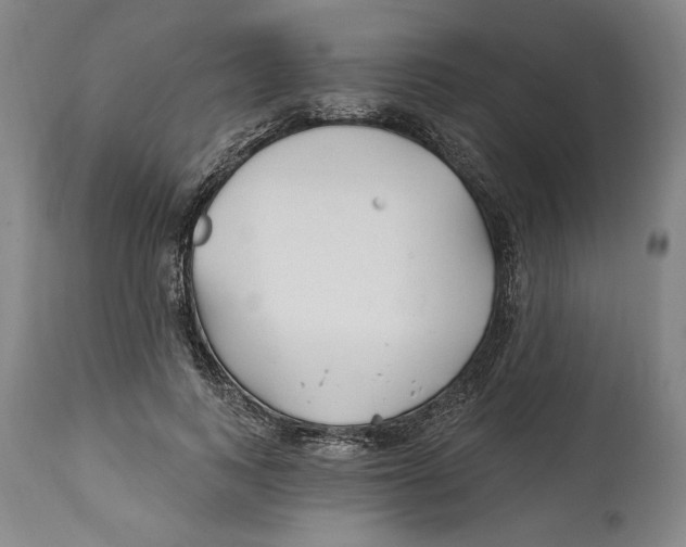 X0000114570743200911161246