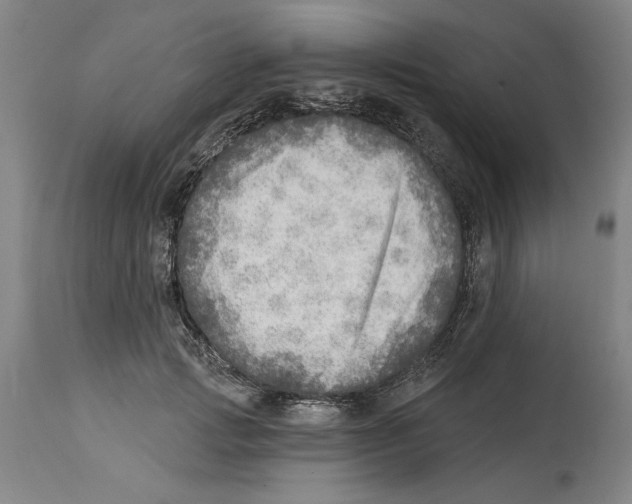 X0000114570749200911161246