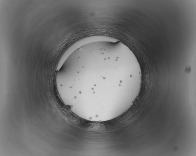 X0000114570750200911161246