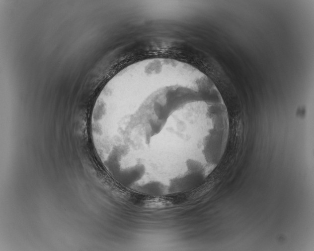 X0000114570754200911161246