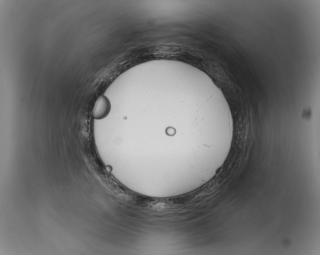 X0000114570755200911161246