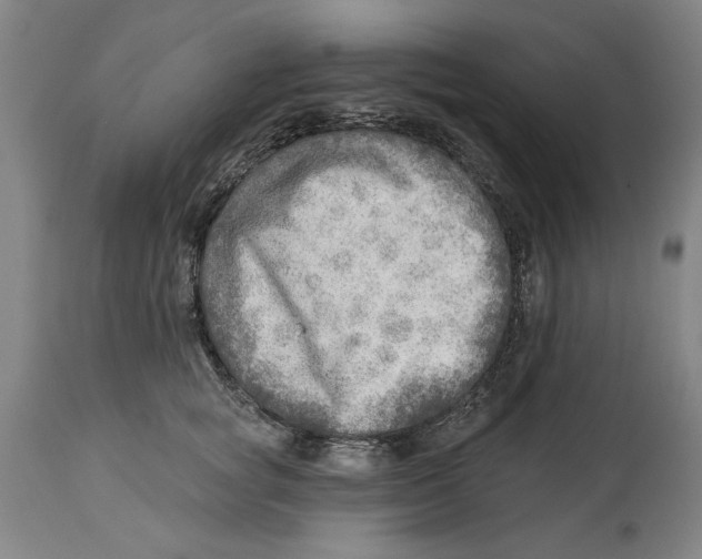 X0000114570757200911161246