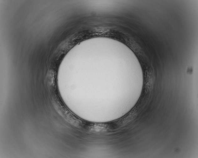 X0000114570758200911161246