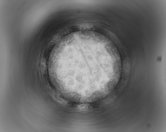 X0000114570761200911161246