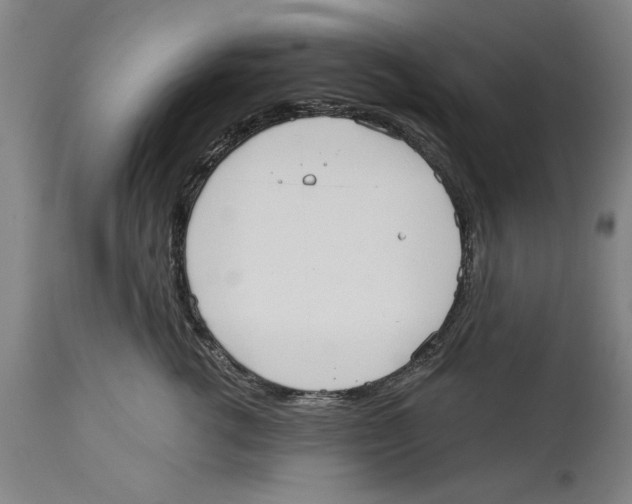 X0000114570762200911161246