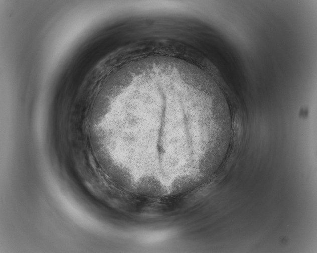 X0000114570765200911161246