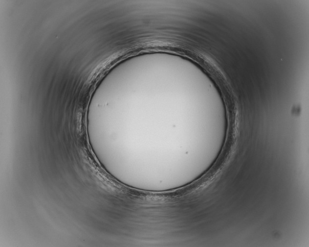 X0000114570777200911161245