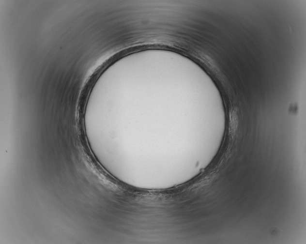 X0000114570780200911161245