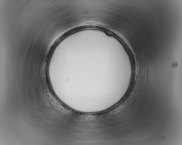 X0000114570783200911161245