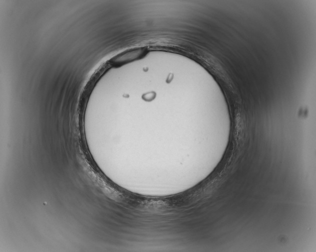 X0000114570784200911161245