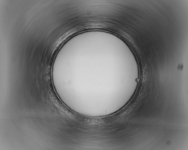 X0000114570786200911161245