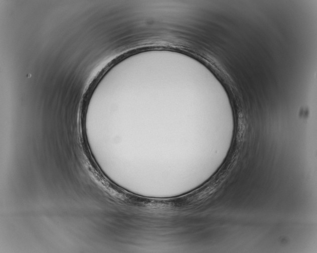 X0000114570788200911161245